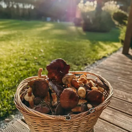 Wena - Luksus W Naturze בית חווה