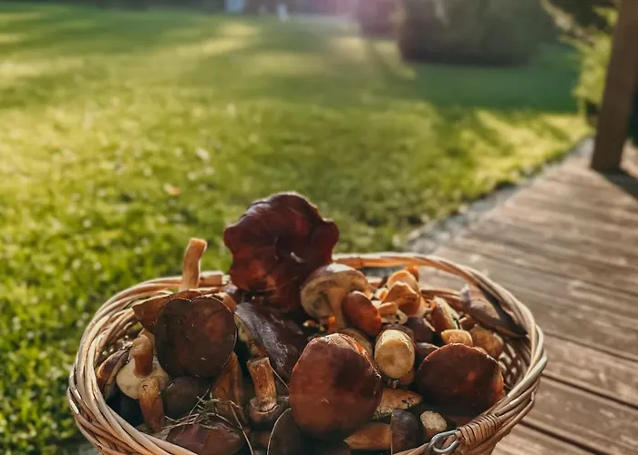 Wena - Luksus W Naturze Farm stay